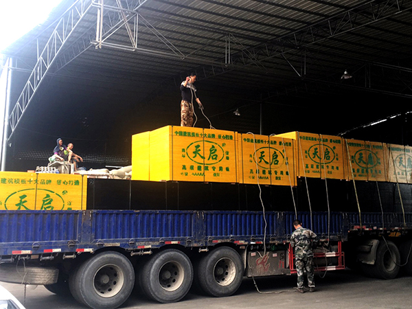 Vģʩr(sh)βϹ(ji)s